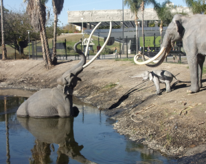 Tar Pits w L.A. Scena z tonącą mamucicą, której szczątki uczeni odkryli tysiące lat potem.